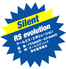 Silent RS evolutionA[GXEG{[V @iF75000~`84000~ d@lFI[XeX ۈK