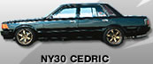 NY30 CEDRIC