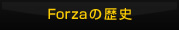 Forza�̗��j