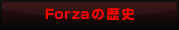 Forza�̗��j